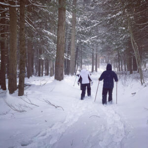 Cross Country Skiing on the Estate at Fly Creek